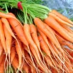 Carrots From Local Farmer's Market