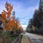 Best iPhone Photo Editing App