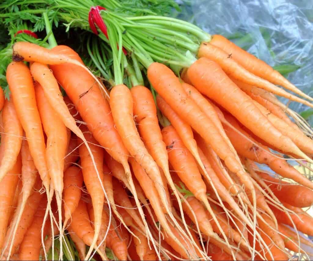 Carrots From Local Farmer's Market
